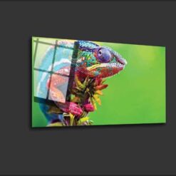 Cameleon 1.0