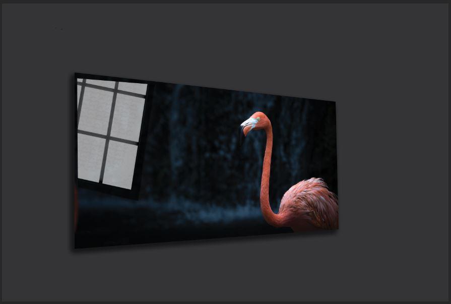 Flamingo
