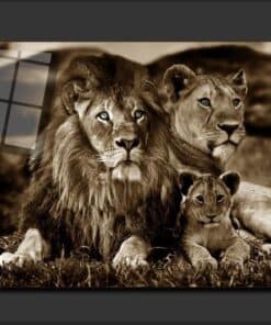 Alternative view of Lion Family