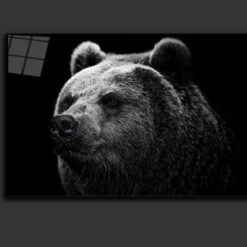 Big bear