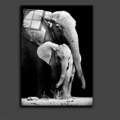 Elephants love