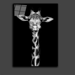 The giraffe