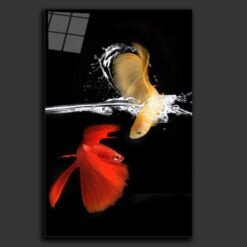 goldfish