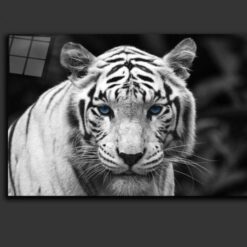 Hungry Tiger