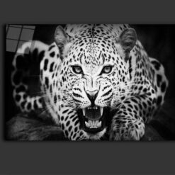Angry Jaquar