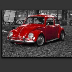 Classic Beetle