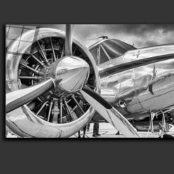 Plane engine